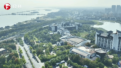 W020251215653251892263