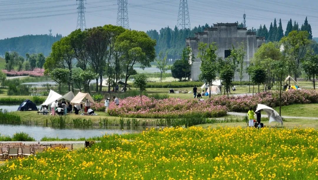 18新利LUCK官网(中国)股份有限公司